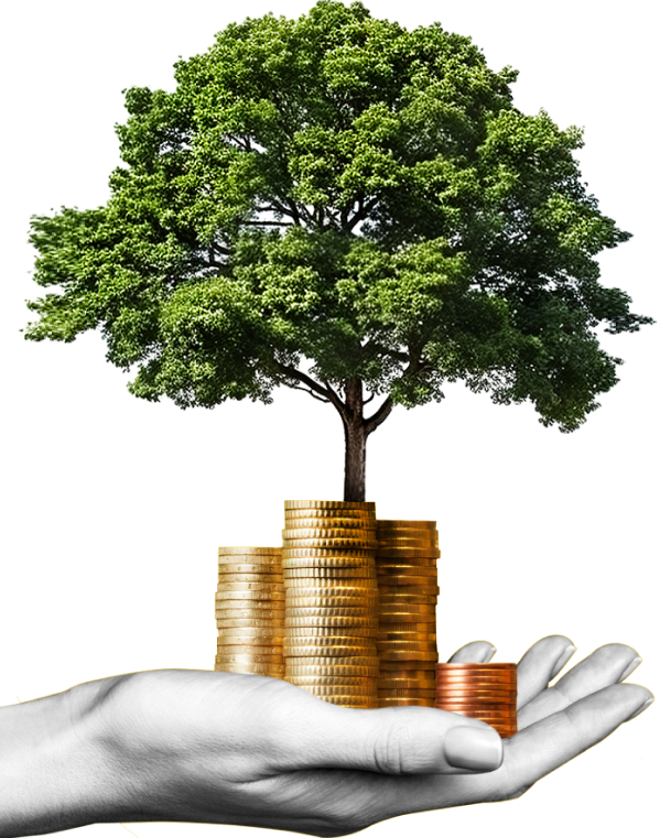 image_group_02 https://thekansalgroup.com/wp-content/uploads/2024/09/image_group_02.png