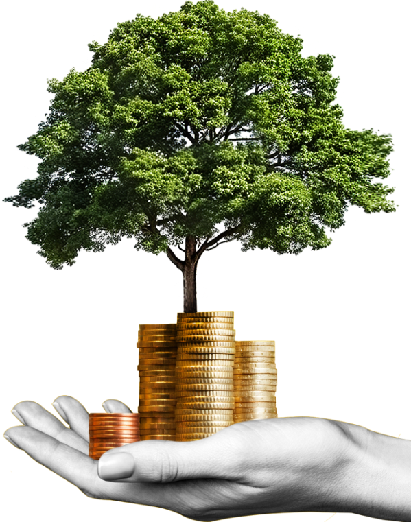 https://thekansalgroup.com/wp-content/uploads/2024/10/inner_image_home_05_01.png